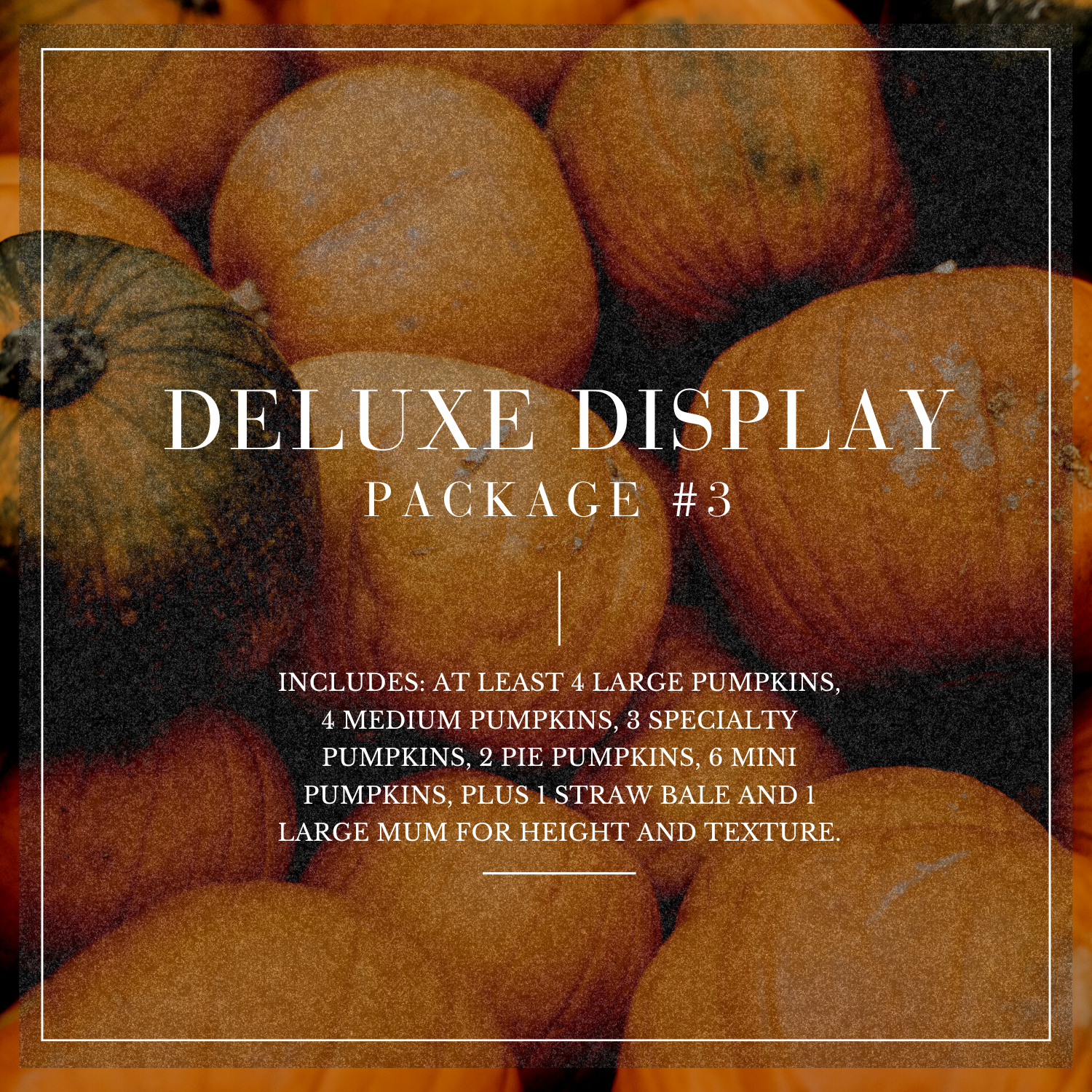 Package 3 | Deluxe Display