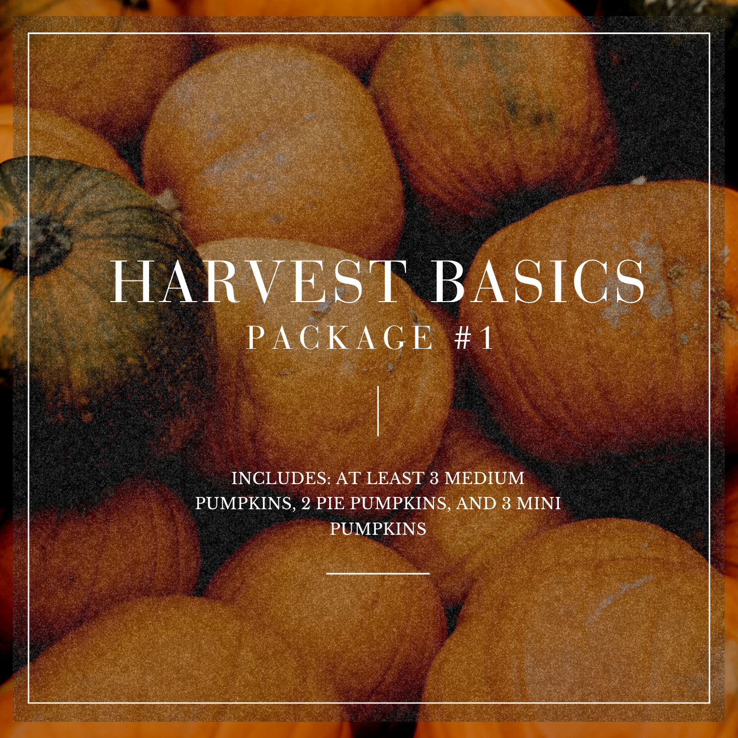 Package 1 | Harvest Basics