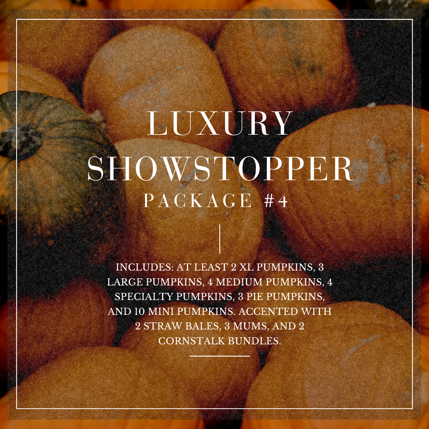 Package 4 | Luxury Showstopper